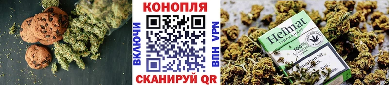 Canna-Cookies марихуана Светогорск