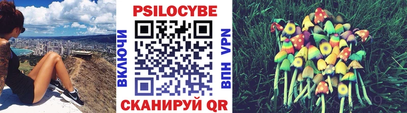 продажа наркотиков Светогорск mega зеркало Псилоцибиновые грибы Psilocybe